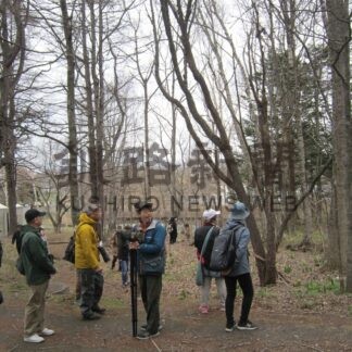 寒空の中、野鳥観察　春採湖畔【釧路市】(2024-04-22)