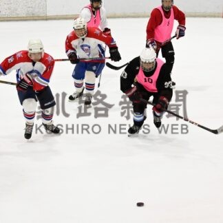 アイホ釧路ビアリーグ８日開幕【釧路市】(2024-04-06)