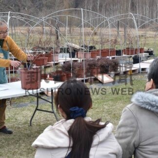 ブルーベリー栽培に挑戦を　２７、２８日に教室【白糠】(2024-04-21)