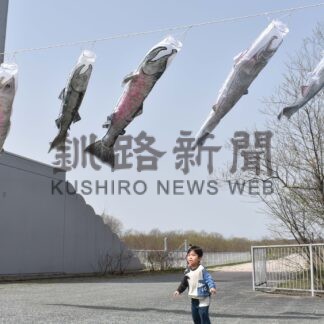 「さけのぼり」お出迎え　サーモン科学館ＧＷ催しにぎわう【標津】(2024-04-28)