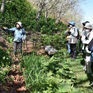豊かな緑の魅力紹介　博物館で春採湖畔草花観察【釧路市】(2024-05-21)