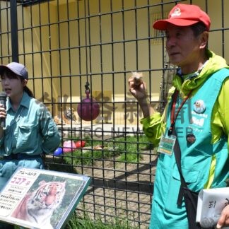 「ココア」おめでとう　釧路市動物園で誕生会【釧路市】(2024-05-20)