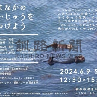 アザラシやラッコ理解を　９日講演会と観察会【浜中】(2024-05-29)