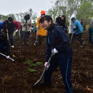 白糠高生らトドマツ植樹　乳呑町有林に苗木４００本【白糠】(2024-05-29)
