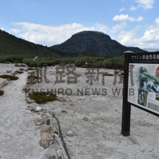 ６月１０日からつつじケ原 朝の散策ツアー【弟子屈】(2024-05-16)