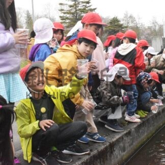元気に帰って来て　標津で児童ら稚魚放流【標津】(2024-05-12)