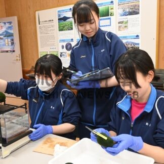 マリモの計測「貴重な体験」　湖陵高生が学ぶ【釧路市】(2024-06-01)