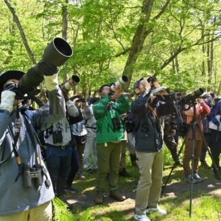 初夏の野鳥２７種類確認　町森林公園で探鳥会【釧路町】(2024-05-27)