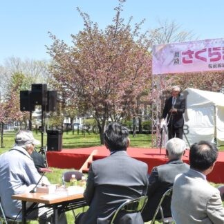 釧路八重見頃　市民でにぎわう　観察会や屋台多彩に【釧路市】(2024-05-19)