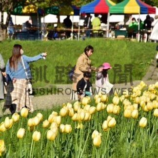 花やステージ満喫　チューリップ＆花フェア【釧路市】(2024-05-26)