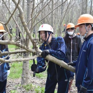 自然や森林に理解深める　標津と川北中生、育樹活動で除伐【標津】(2024-05-22)