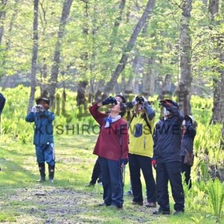 森林公園で野鳥を観察　日の出町内会【釧路町】(2024-05-26)
