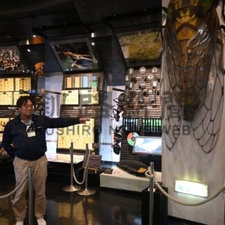 昆虫５０倍拡大模型を初展示　博物館【釧路市】(2024-05-09)