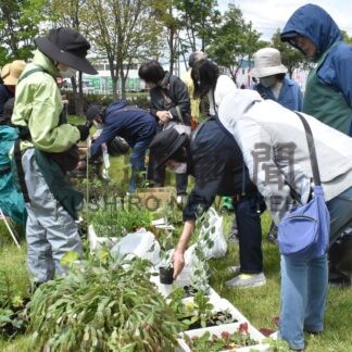 お目当ての宿根草品定め　愛好者の交換・販売会【釧路市】(2024-05-31)