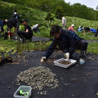 森を育て豊かな海に　浜中中生とＮＰＯが植栽【浜中】(2024-06-02)