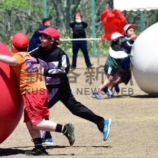 地域住民と一体で競技　厚床小中運動会【根室】(2024-06-07)