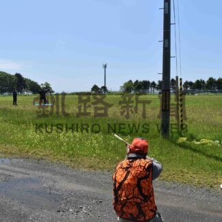 市街地クマ出没を想定　根室署など合同対処訓練【根室】(2024-06-18)