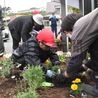 駐在所の花壇に彩り　花咲港小児童ら植え込み【根室】(2024-06-23)