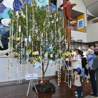 早い七夕楽しんで【釧路市】(2024-07-01)