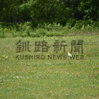 霧笛【釧路市】(2024-06-24)