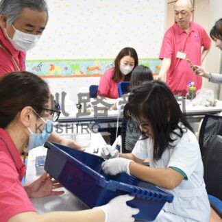 子供が歯科医体験　健康フェア【釧路市】(2024-06-16)