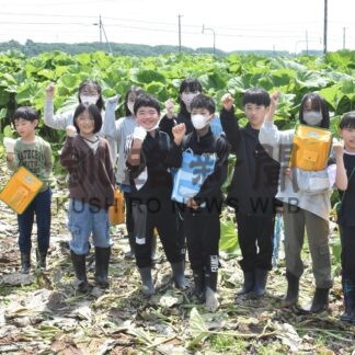 地元の特産品学ぼう　音別小児童がフキ刈り体験【釧路市】(2024-06-18)