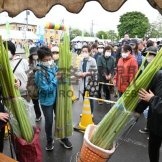 目玉の生ブキ大人気　音別で蕗まつり盛況【釧路市】(2024-06-17)