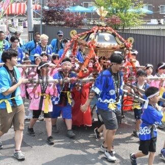 子供みこし威勢よく　もしりや子供みこし祭【釧路市】(2024-07-14)