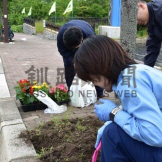 花いっぱい街に彩り　道道２カ所で植栽【根室】(2024-07-08)