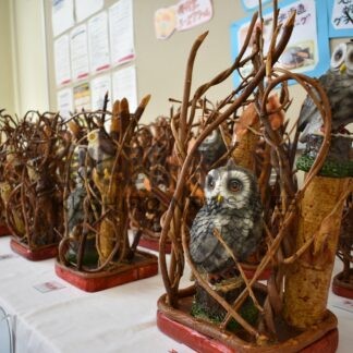 流木など使いフクロウ作品　弟子屈在住の石橋さんが木工展【弟子屈】(2024-07-02)