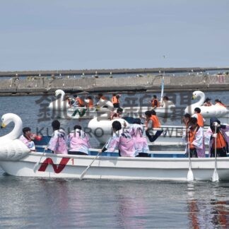 舟こぎレース熱戦　ねむろ港まつり【根室】(2024-07-15)