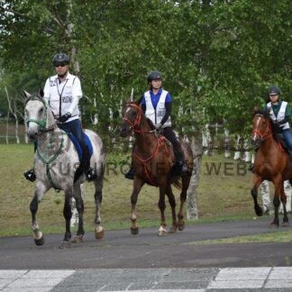 馬の脚力、持久力競う　大会に道内５乗馬ク参加【鶴居】(2024-07-20)