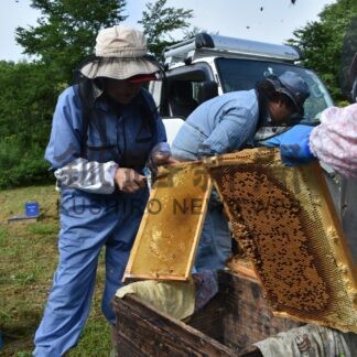 無添加蜂蜜高い評価　熊本の西岡養蜂園が鶴居で生産【鶴居】(2024-08-26)