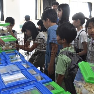 クワガタ光って見える　宮脇土建、少年少女発明クに寄贈【釧路市】(2024-08-29)