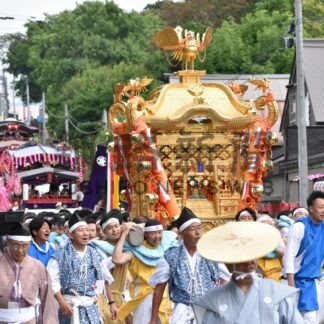 大みこし勇壮　金刀比羅神社例大祭【根室】(2024-08-11)