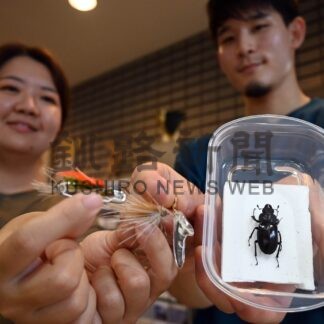 自由研究で活用を　霧多布湿原センターで工作【浜中】(2024-08-10)