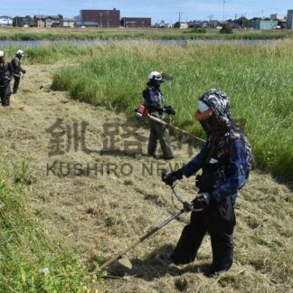 釧新花火大会前、河川敷で草刈り　弟子屈の辻谷建設【釧路市】(2024-08-08)