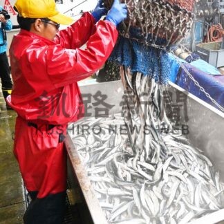 サンマ70㌧初水揚げ　漁場昨年より近く【厚岸】(2024-08-18)