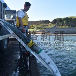 マツカワ稚魚 ５万匹放流【根室】(2024-09-08)