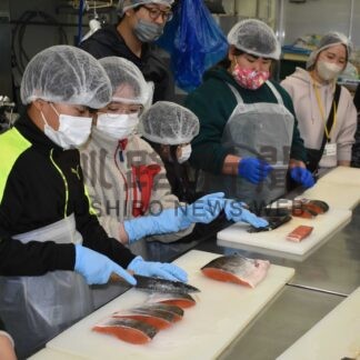 サケの切り身作りに挑戦　標津小児童が漁業体験学習【標津】(2024-09-28)