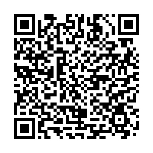 世界最小トウキョウトガリネズミを展示　１５日は講習会と講演会「【白糠】_1(2024-09-13)