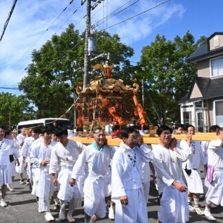 みこし渡御練り歩く　鳥取神社例大祭【釧路市】(2024-09-15)