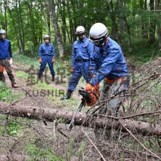 地震、国道の倒木撤去想定　阿寒湖温泉消防など初の合同訓練【釧路市】(2024-09-06)