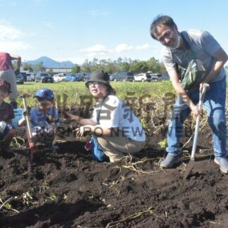 伯爵まつりで大勢の家族連れが芋掘り楽しむ【中標津】(2024-09-07)