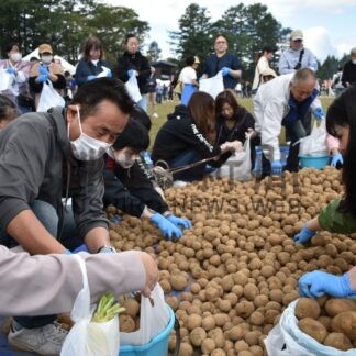 ジャガイモ詰めに夢中　鶴居村ふるさとまつり、秋の味覚満喫【鶴居】(2024-09-28)