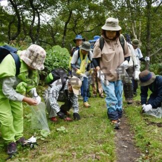 登山楽しみながら外来種植物駆除【標茶】(2024-09-03)
