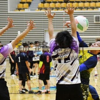 ネットを挟み３０チーム交流　ソフトバレーボール【釧路市】(2024-10-29)