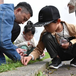 アリ観察し生態学ぶ　わくわく科学教室【根室】(2024-10-09)