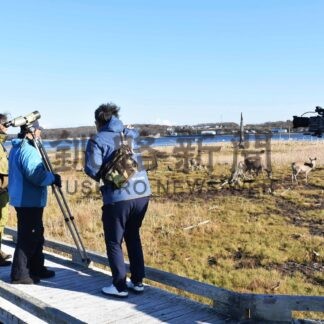最東端の自然や食 ＣＭに　海外向けに映像撮影【根室】(2024-11-01)