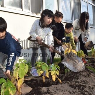 青葉小 緑化モデル完成　ローソン募金活用【釧路市】(2024-11-05)